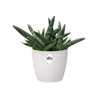Elho pot brussels rond mini d10.5cm wit - thumbnail