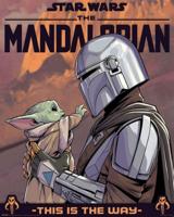 Poster Star Wars - The Mandalorian - Hello Little One 40x50cm - thumbnail