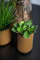 Capi Europe Vaas hoog Groove Black & Gold - 8x12 - Goud - thumbnail