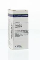 VSM Equisetum arvense D6 10 Gram - thumbnail
