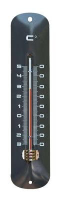 Nature Muurthermometer metaal 30cm