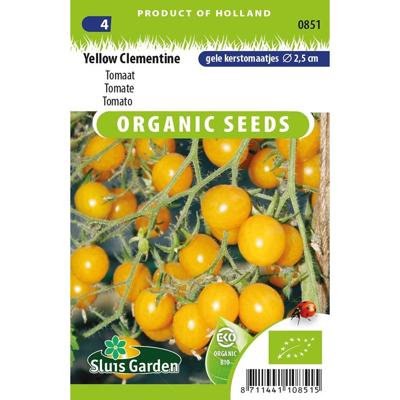 Tomaat Yellow Clementine BIO Tomaat Yellow Clementine BIO
