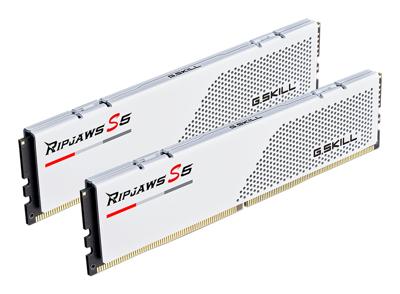G.Skill F5-6000J3036F48GX2-RS5W Werkgeheugenmodule voor PC DDR5 96 GB 2 x 48 GB 6000 MHz 288-pins DIMM CL30 F5-6000J3036F48GX2-RS5W