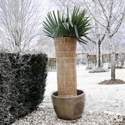 NATURE Wintermat rijststro - thumbnail