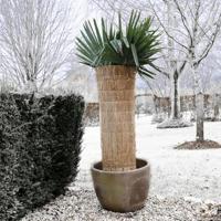 Winterbeschermingsmat rijststro - thumbnail