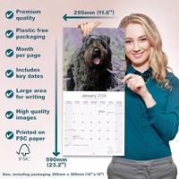 Bouvier Kalender 2026 - thumbnail