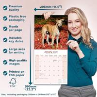 Greyhound Kalender 2026 - thumbnail
