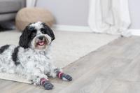 Sokken Trixie Grijs L Hond - thumbnail