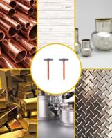 Dremel RVS-borstel 19 mm 2 stuks 26150530JA 2 stuk(s) - thumbnail