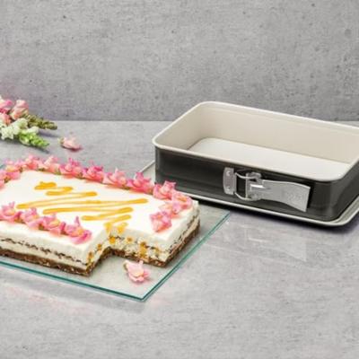 Springvorm Pan Dr. Oetker