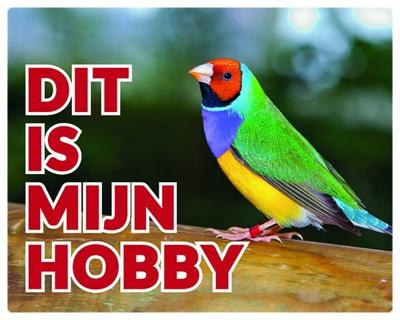 Gouldamadine Waakbord Gouldamadine Waakbord