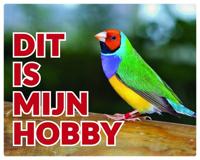 Gouldamadine Waakbord - thumbnail