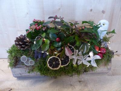 Plantenbak met planten en deco in boomstronk met verlichting Warentuin Natuurlijk - Warentuin natuurlijk