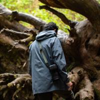 Peak Design Slide Lite - sage - thumbnail