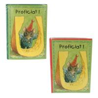 Dubbele wenskaart met envelop Proficiat 15x21 cm 2 assorti | 100 stuks - thumbnail