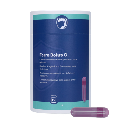 Excellent Ferro Bolus C 24 x 9,5 g