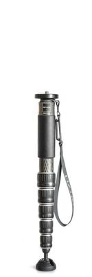 Gitzo GM4562 eXact carbon monopod series 4