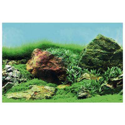 Deco Poster C3 100X49 Cm aquaria Superfish - Superfish
