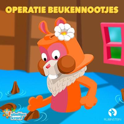 Operatie beukennootjes