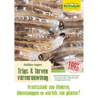 Ecostyle Aaltjes tegen larven trips 100 m² - thumbnail