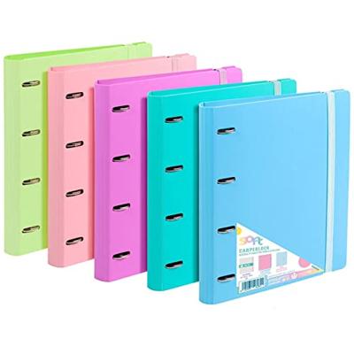 Ringmap Carchivo Multicolour A4 (8 Stuks)