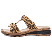 Ara 1229003 - alle - thumbnail