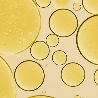 Melvita Apricot Kernel Oil 50ml