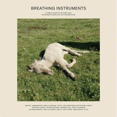Breathing Instruments - LP (5051142007506) Breathing Instruments - LP (5051142007506)