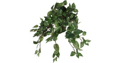 Mica Decorations Scindapsus Kunst Hangplant - H45 x Ø25 cm - Groen Mica Decorations Scindapsus Kunst Hangplant - H45 x Ø25 cm - Groen