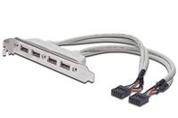 DIGITUS USB 2.0 sleuf - 0,25m - 4 x USB type A - 2x 10pin IDC - High Speed 480 MBit/s - thumbnail