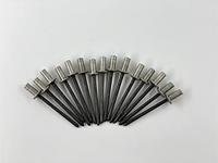 SILENT SPORT blindklinknagels blind rivet set sp 4,8x11mm 15pcs. - thumbnail