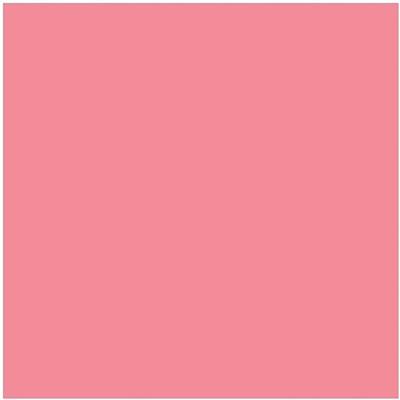 HP 81 licht-magenta DesignJet printkop en printkopreiniger voor kleurstofinkt