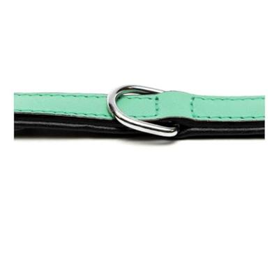 Hondenhalsband Gloria Gestoffeerd Groen (45 cm) (45 x 2 cm)