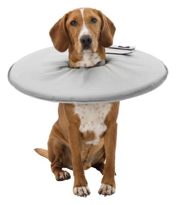 TRIXIE BESCHERMKRAAG SCHUIMRUBBER GRIJS XS 23-27X13 CM