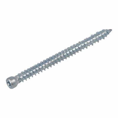 Hoenderdaal Kozijnschroef Vz Ck Torx TX30 7.5X182 | 100 stuks - 4850.01.59001 Hoenderdaal Kozijnschroef Vz Ck Torx TX30 7.5X182 | 100 stuks - 4850.01.59001