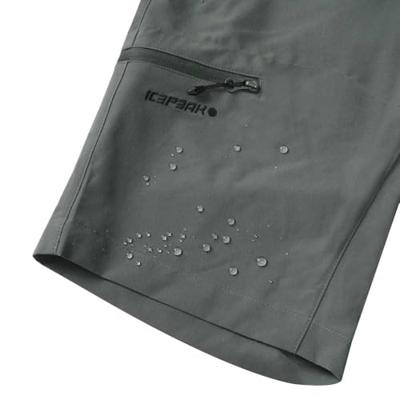 Ice Peak Berwyn Wandelshort Heren S/48