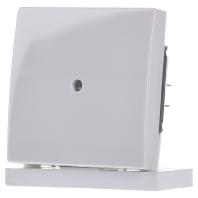 ABB 2138-34 Blindafdekking Afdekking Wit, Zuiver wit (RAL 9010) 1 stuk(s) - thumbnail