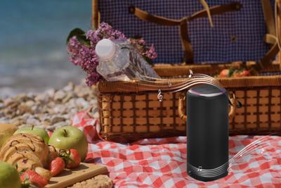 Dankzij de draagbare Bluetooth®-luidsprekers GEMBIRD SPK-BT-LED-08L