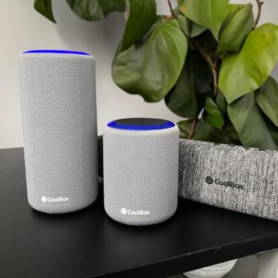 CoolBox COO-BTA-G232 Grijs 14 W Bluetooth luidspreker