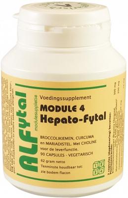 Hepato-Fytal (module 4)