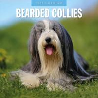 Bearded Collie Kalender 2027 - thumbnail
