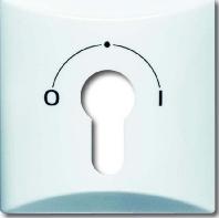 Busch-Jaeger 2CKA001710A1837 Sleutelschakelaar, Sleuteltoets Afdekking Allweather 44 (IP44) Wit, Parel-wit 1 stuk(s) - thumbnail