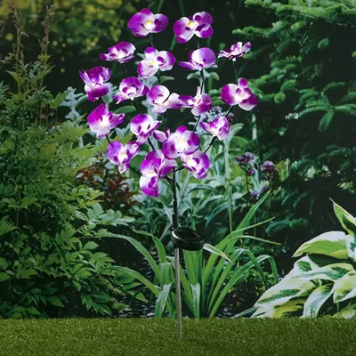 HI tuinlamp orcdee solar led 75 cm