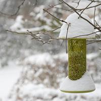 Vogel Voedersilo Noten Tjiftjaf Groen - thumbnail