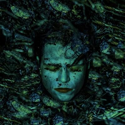 Bond - LP (7072805001219) Bond - LP (7072805001219)