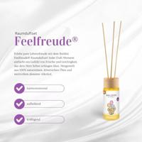 Geurstokjes feelfreude bio demeter 50 Milliliter - thumbnail