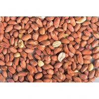 Konacorn rode pinda's 2.5 kg emmer - thumbnail