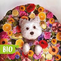 PRESTIGE KANARIES ZANGZAAD - thumbnail