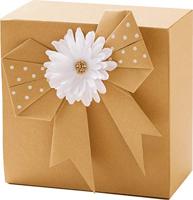 Kraftpapier Folia A4 120gr 100 vel - thumbnail