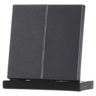 Jung LS990 drukknop serie voor serieschakelaar antraciet